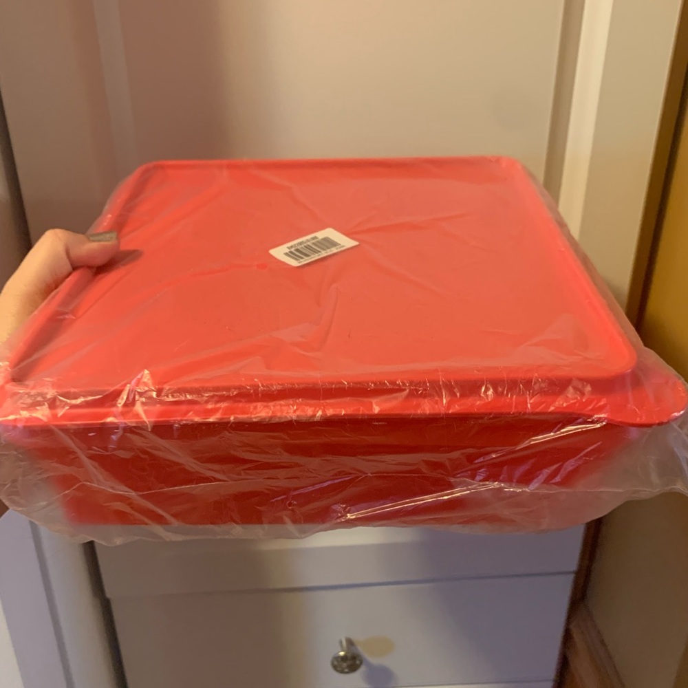 Tupperware Snack Stor Container (NEW)